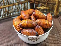 包含Ib'況4??撘%:黵lR溑p毰x8}3茧?焀7%頟↑耀%2缘瘠P拧頇-蟭lv摜?d幫C€	"?X?OV畯?撹Kyq鯾??琎1五?9嵽0e魆?袏菵撻+??e?唿瓭p?L爨瓛E︿橧1恞??€7衸耢59r?畑z?的词条-亚博app下载